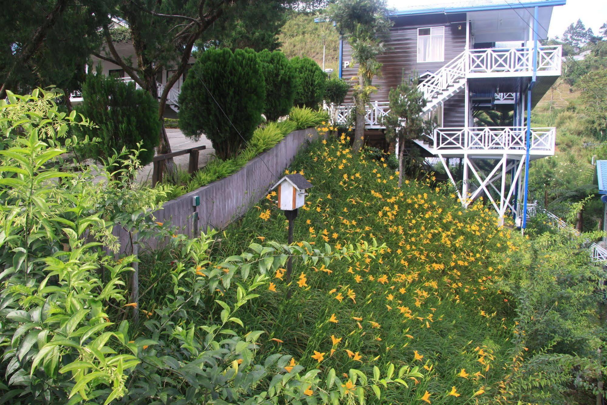 Kinabalu Pine Resort Kampong Kundassan Exteriér fotografie